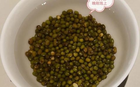 泡豆子日记400字，泡豆子日记400字作文四年级上册！