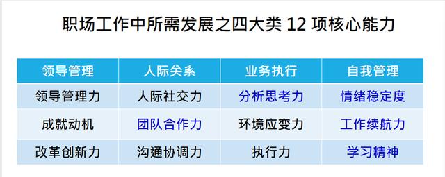 职业能力，职场技能？