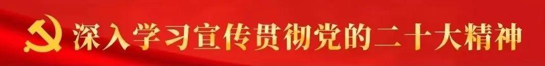 乡村振兴调研报告，乡村振兴战略研究？ (2)